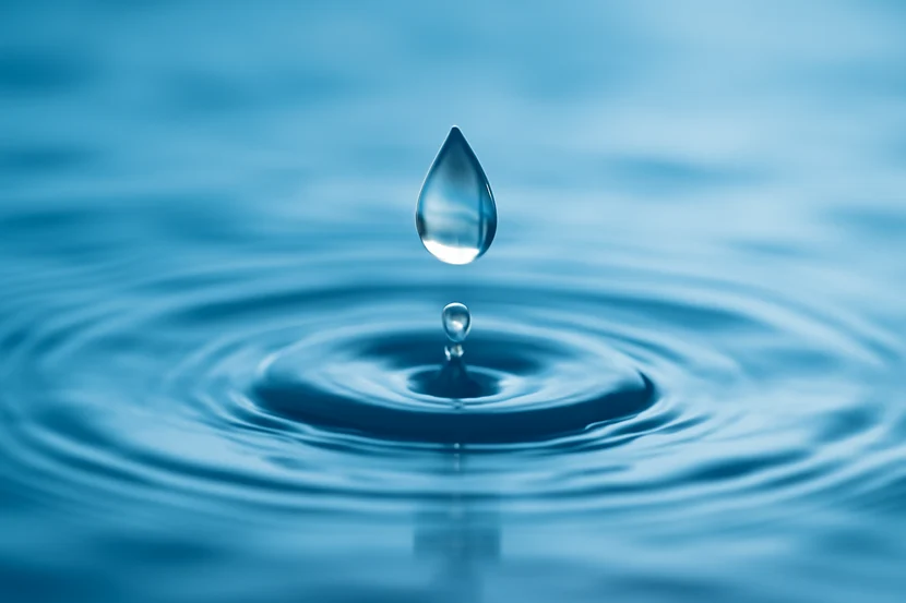 Всегда на связи